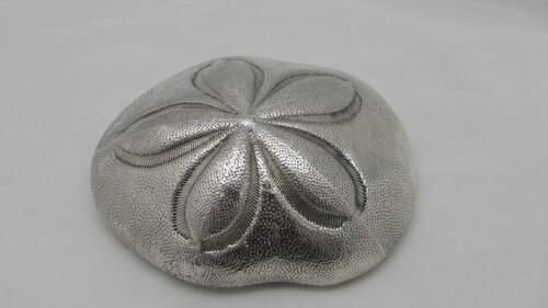 Sterling Coated Sea Biscuit